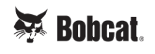 bobcat
